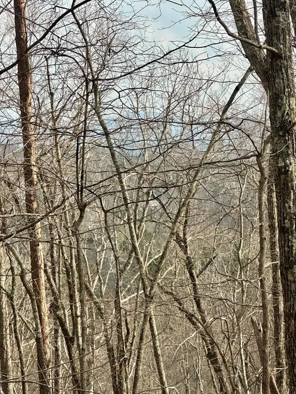 Lot 27 Prospect Ridge, Blue Ridge, GA 30513