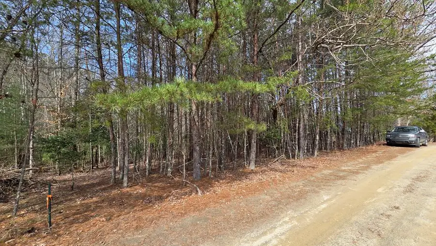 Lot 25 Pine Log Circle, Warne, NC 28909 - #2