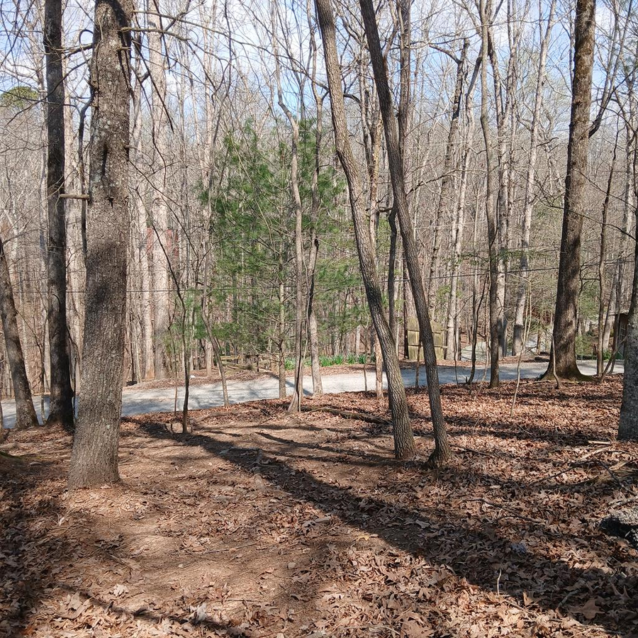 107 7th Street, Ellijay, GA 30540 - #3