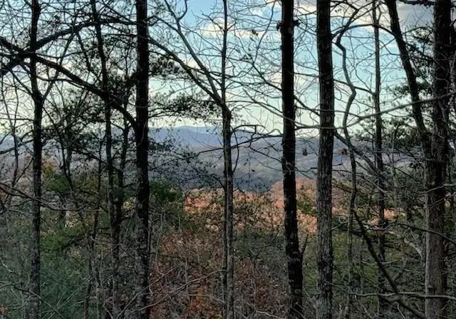 Lot 49 Mission Ridge, Hayesville, NC 28904 - #2