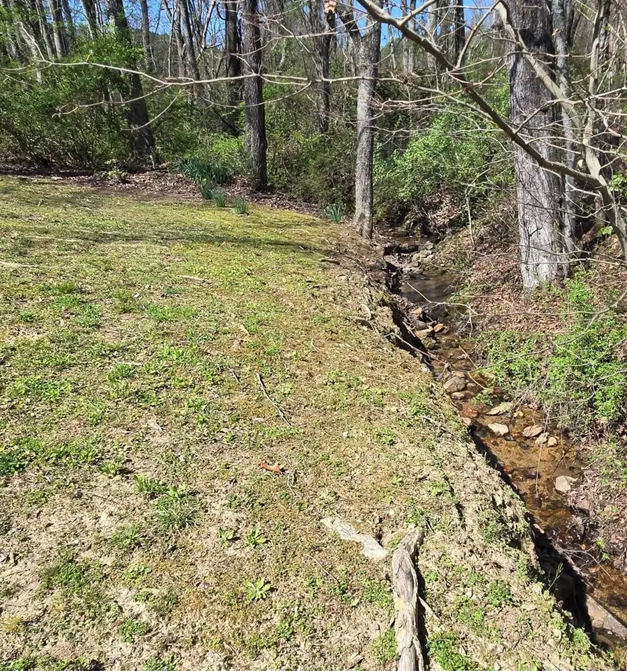 129 Moccasin Lane, Blairsville, GA 30512 - #2