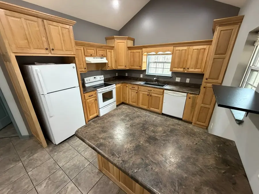 365 Ruby Lane, Mineral Bluff, GA 30559 - #2