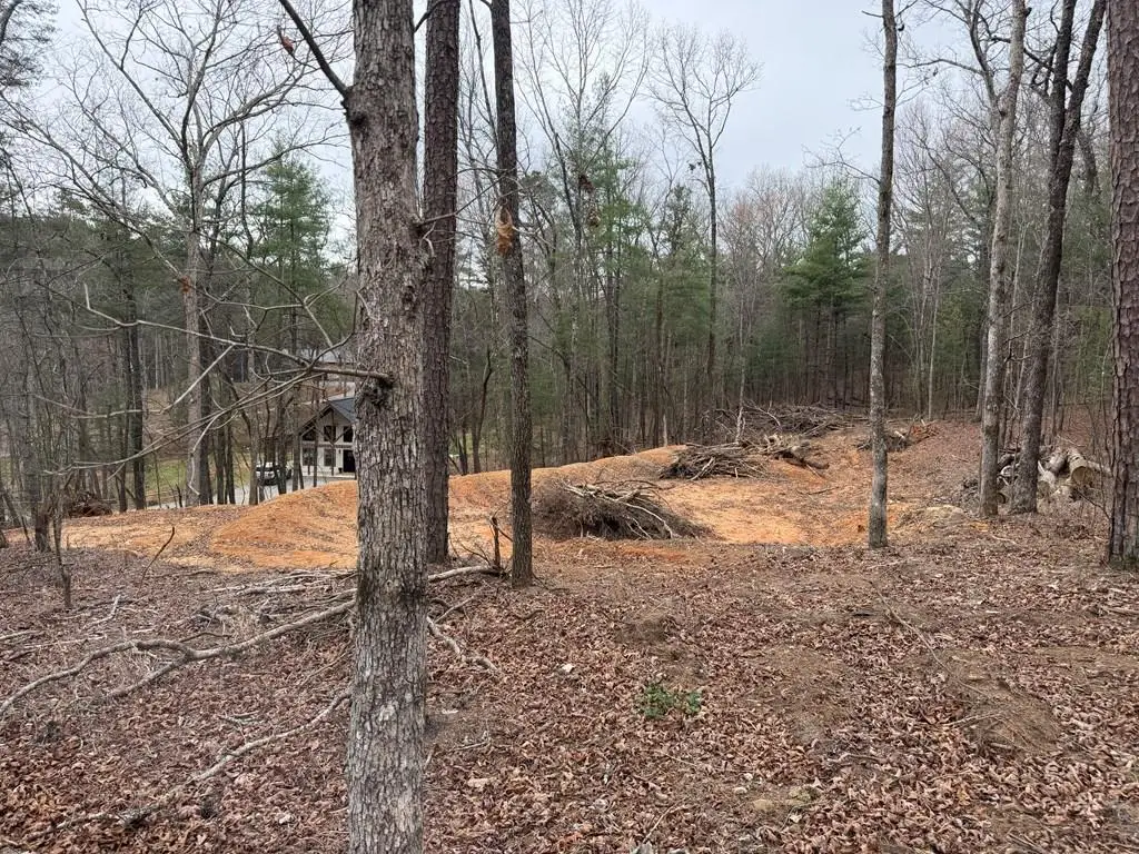Lot # 5 Oakwood Trail, Mineral Bluff, GA 30559 - #1