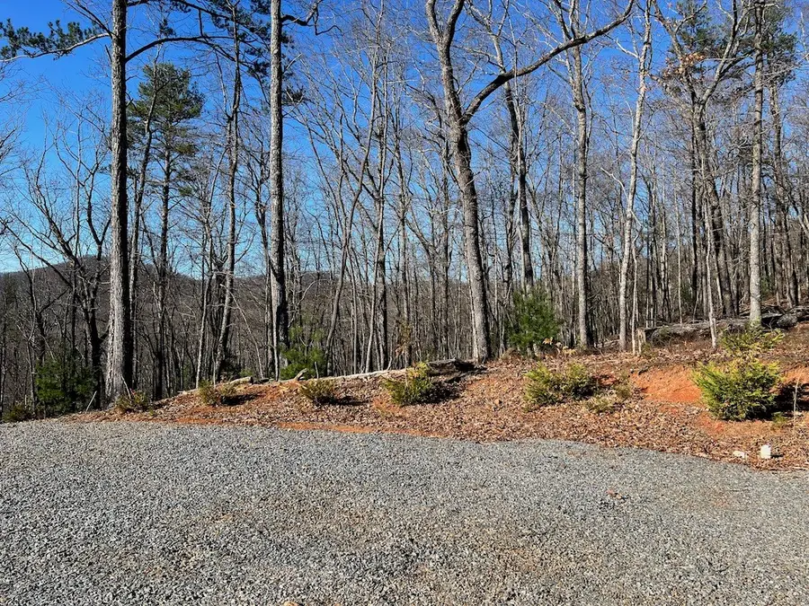 673 Willard Mountain Road, Blue Ridge, GA 30513 - #3
