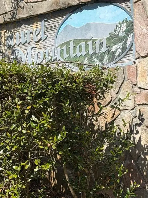 Lot 16 Laurel Mountain, Brasstown, NC 28902 - #2