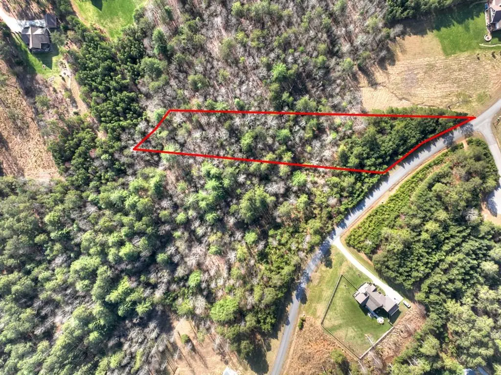 LOT 233 Ridge Pointe Way, Blairsville, GA 30512 - #1