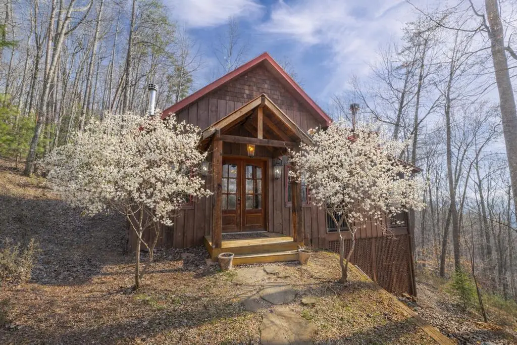 766 Laurel Ridge Drive, Blue Ridge, GA 30513 - #1