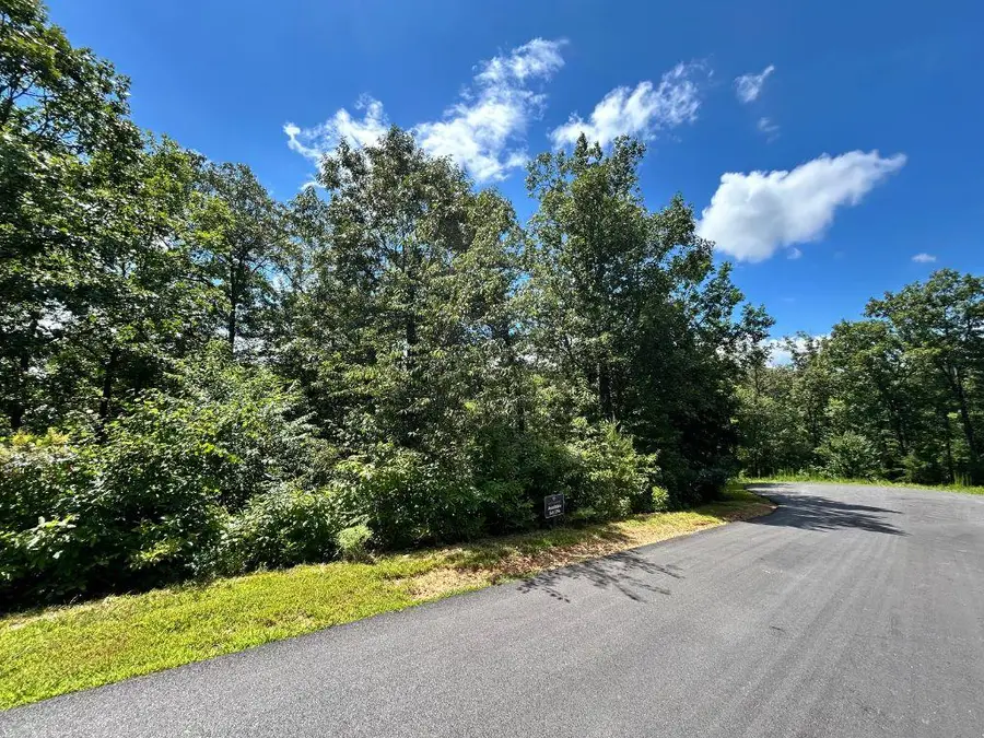 Lot 196 NW Trails End Way, Mineral Bluff, GA 30559 - #3