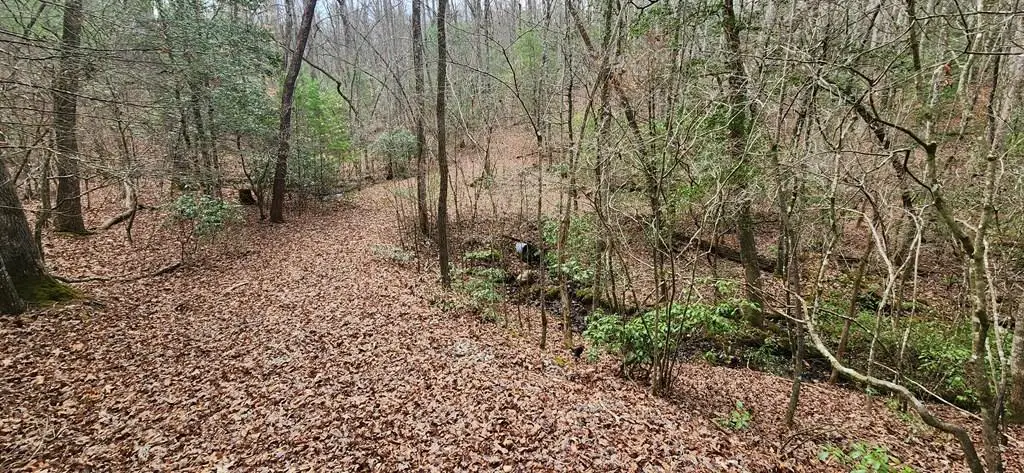 Lot 18 Gray Fox Trail, Blairsville, GA 30512 - #1
