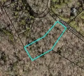 Lot 18 Gray Fox Trail, Blairsville, GA 30512 - #2