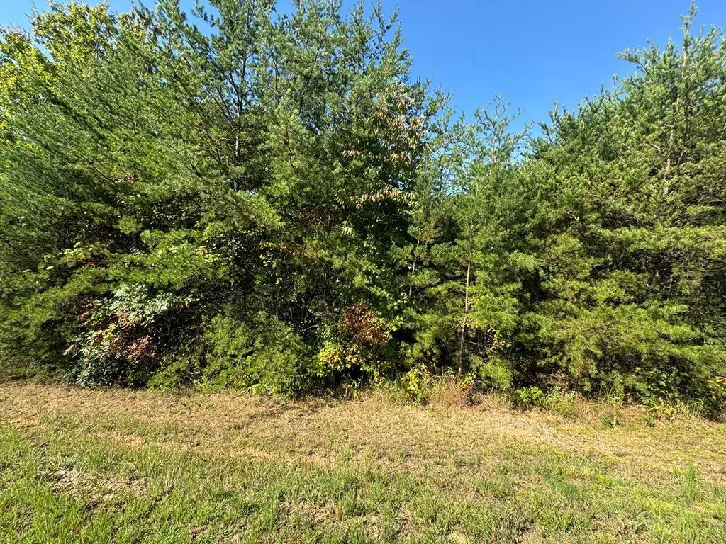 115 Blackhawk Lane, Turtletown, TN 37391 - #1