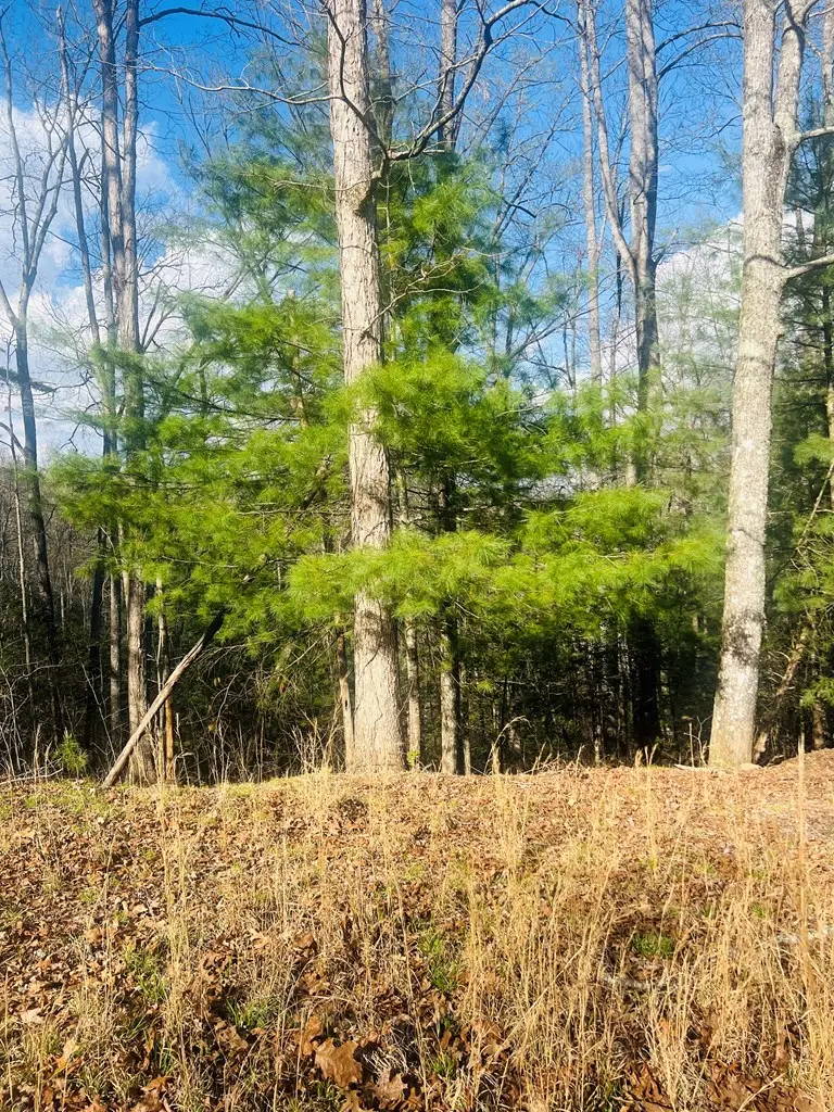 00 Ford Lane, Murphy, NC 28906 - #3