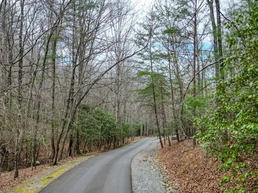 Lot 25 Cross Creek, Mineral Bluff, GA 30559 - #3