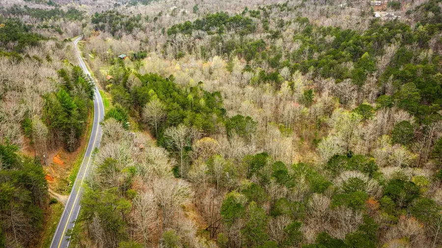 10042 Doublehead Gap Road, Ellijay, GA 30536 - #2