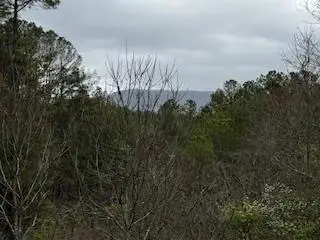 851 Stansbury Mountain Road, Copperhill, TN 37317 - #1