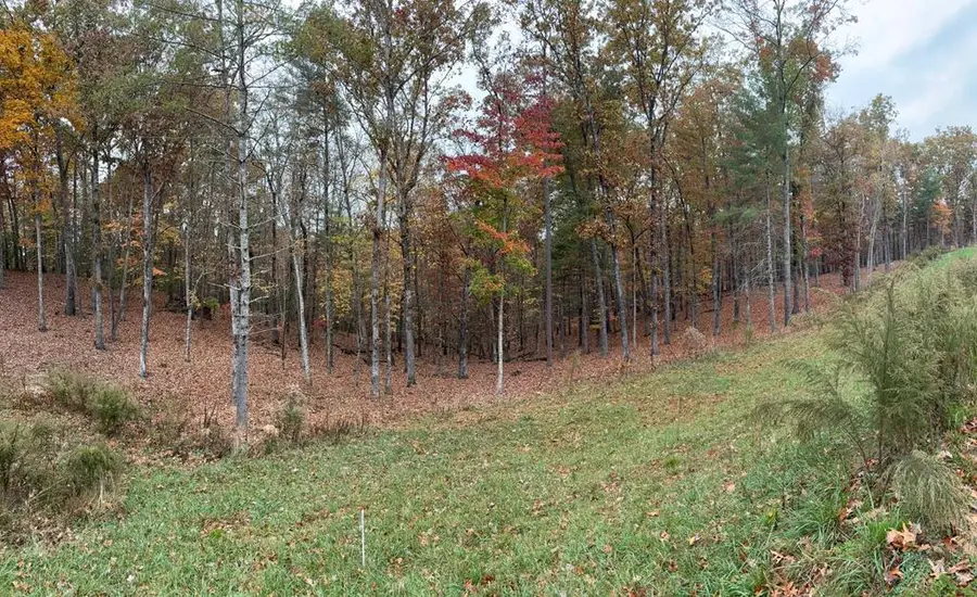 Lot 41 Ridge Drive, Morganton, GA 30560 - #3