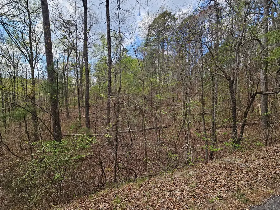 135 Adair Drive, Ranger, GA 30734 - #3