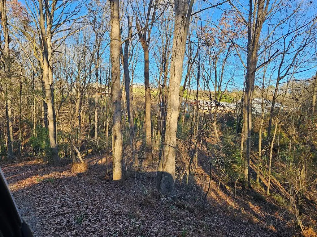 Lot 256 Elmwood Circle, Ellijay, GA 30540 - #1