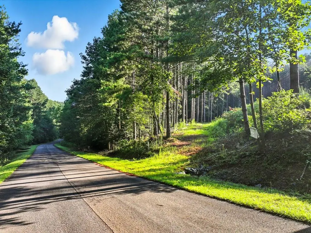 Lot 32 Foxpaw Leaf Lane, Ellijay, GA 30536 - #1