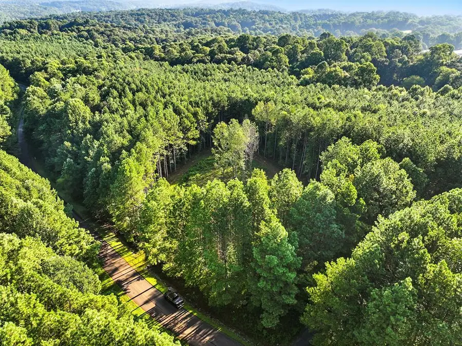 Lot 32 Foxpaw Leaf Lane, Ellijay, GA 30536 - #2