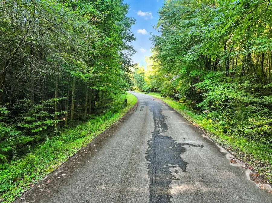 Lot 31 Foxpaw Leaf Lane, Ellijay, GA 30536 - #3