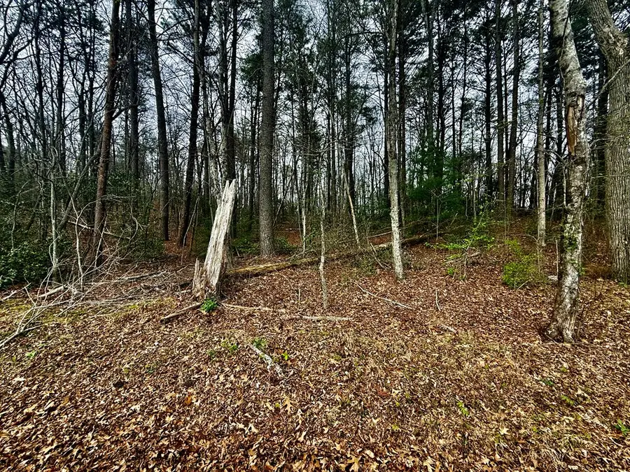 0 Nicholson Circle, Turtletown, TN 37391 - #2
