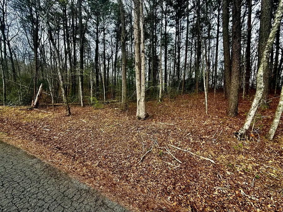 0 Nicholson Circle, Turtletown, TN 37391 - #3