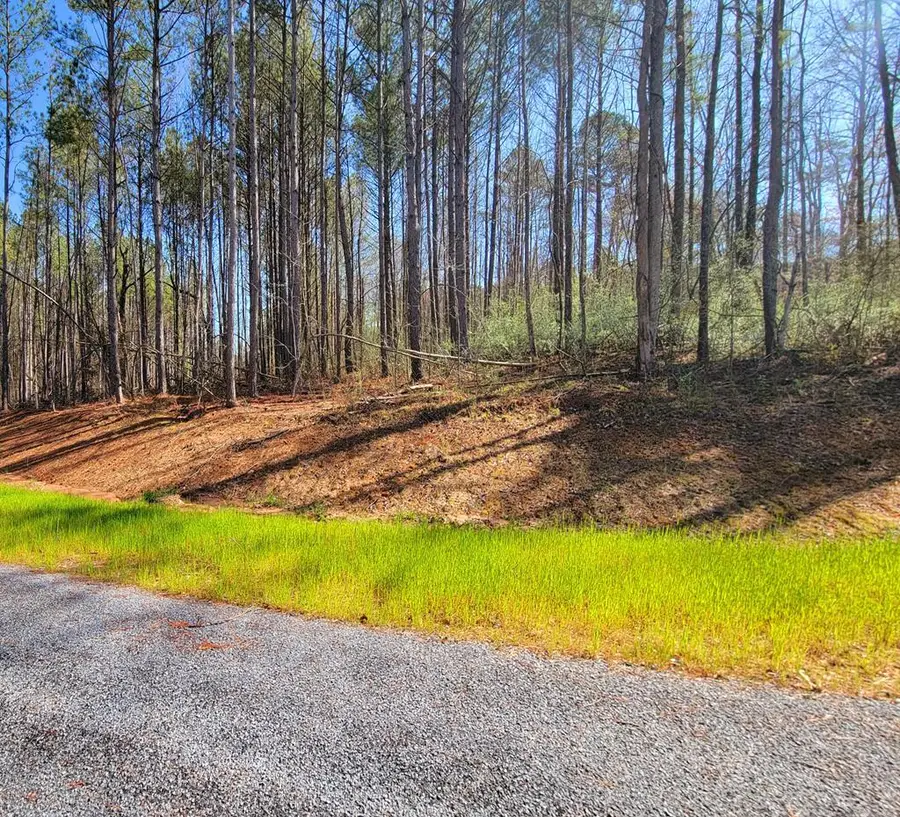 68 Mountaingate Way, Ellijay, GA 30536 - #2