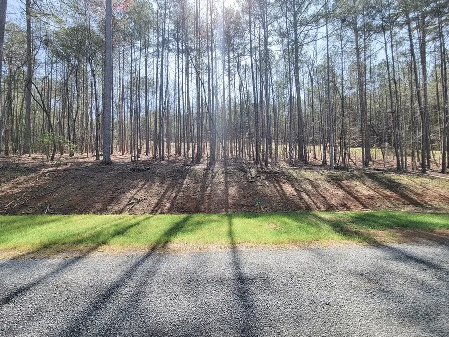 277 Mountaingate Way, Ellijay, GA 30536 - #2