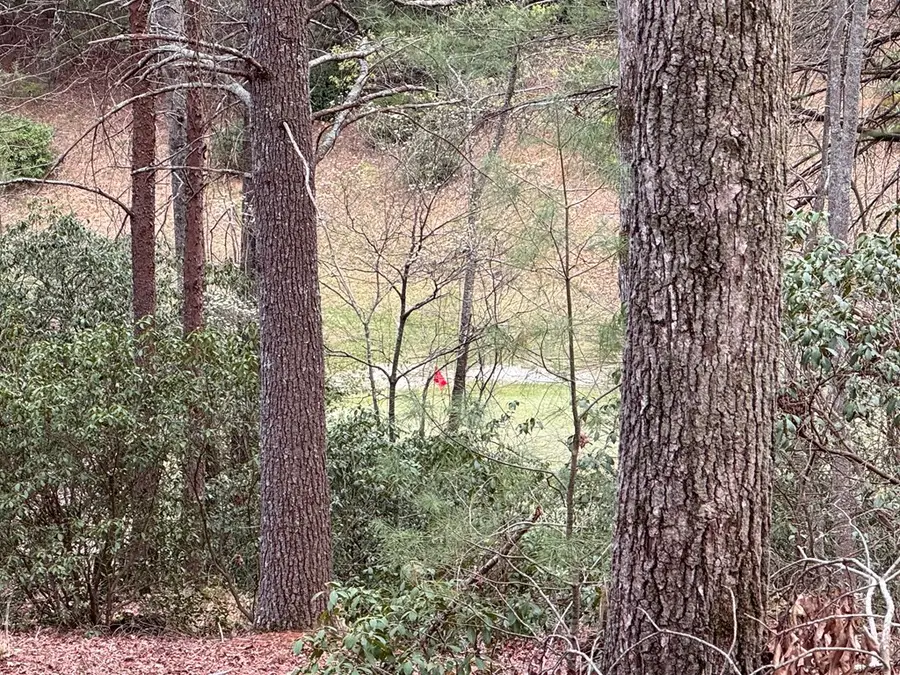 Lot 43 Seneca Drive, Ellijay, GA 30540 - #3