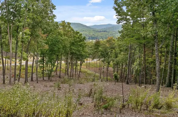 Lot 88 Split Creek Road, Morganton, GA 30560