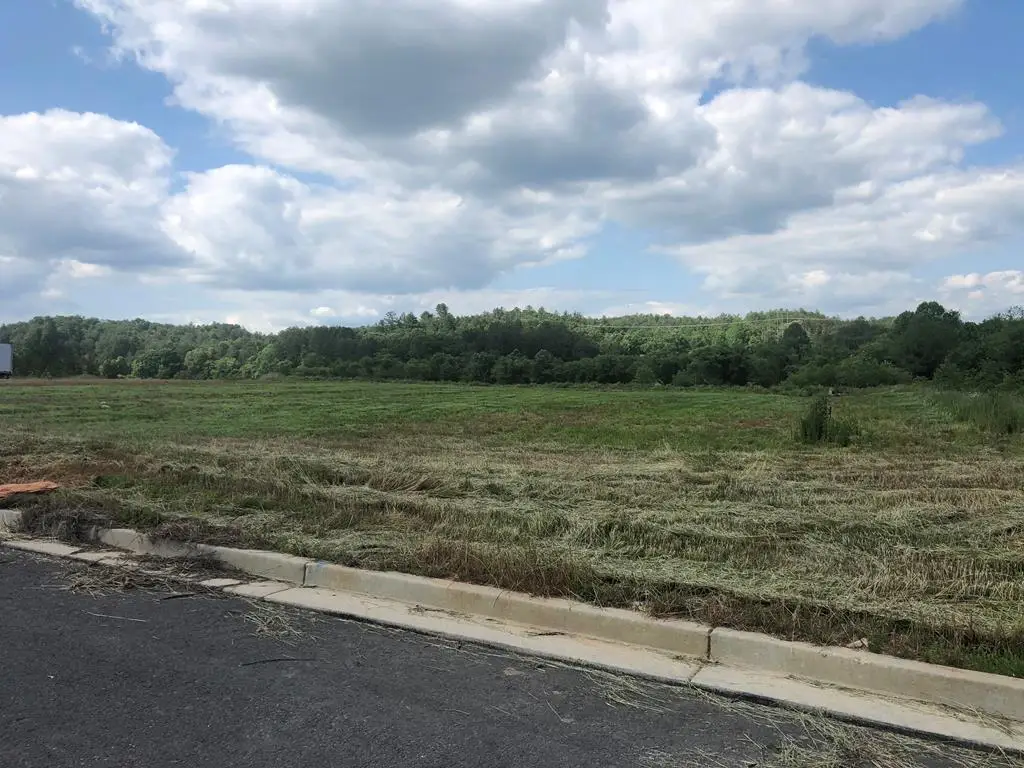 Lt 1 & 2 Blackhawk Drive, Blue Ridge, GA 30513 - #1