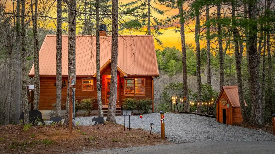 9 Dean Court, Blue Ridge, GA 30513 - #2