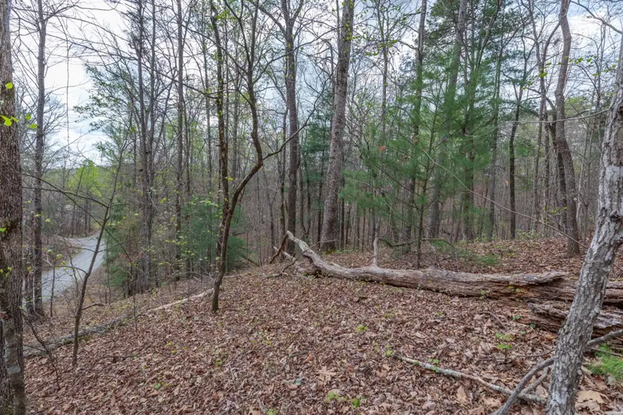 Lot 6B Glenridge Way, Ellijay, GA 30540 - #2