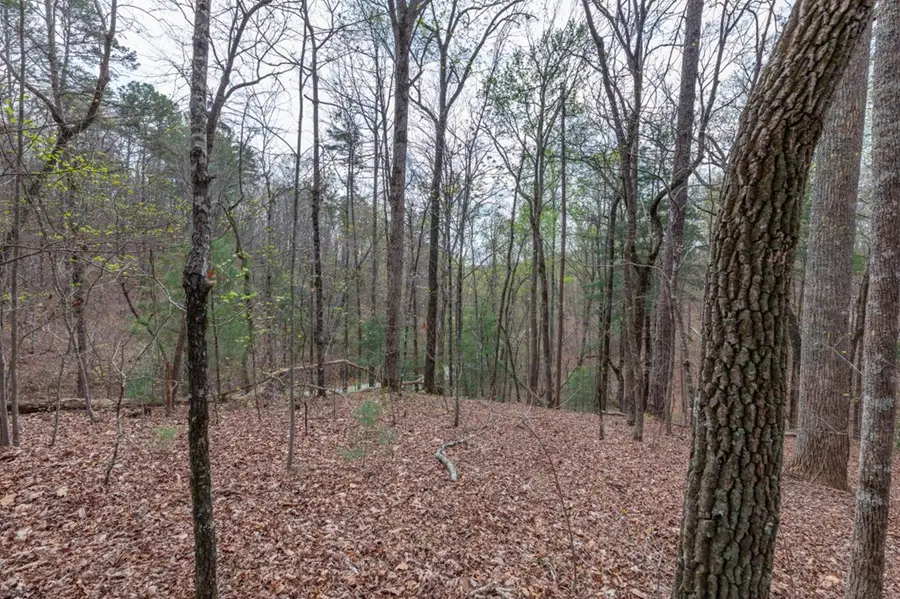 Lot 6B Glenridge Way, Ellijay, GA 30540 - #3