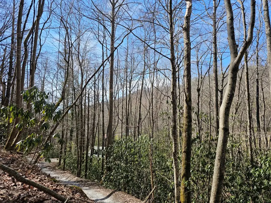 Lot 16 Warrior Way, Andrews, NC 28901 - #3