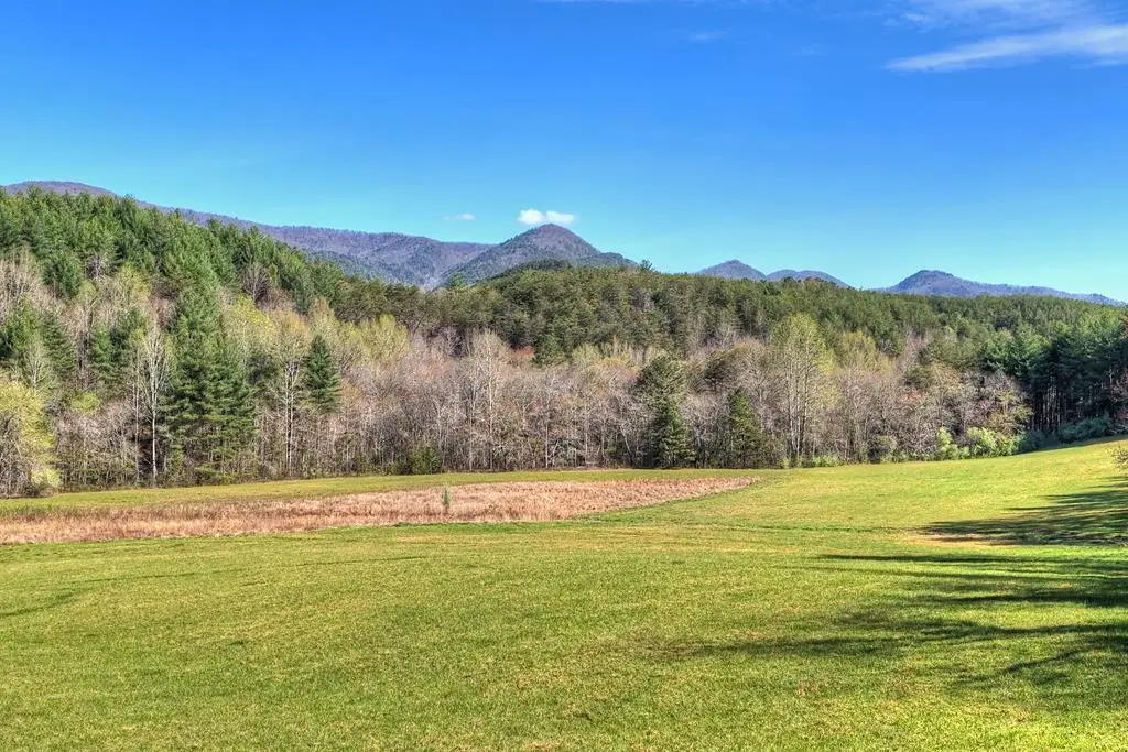 626 Brush Creek Road, Copperhill, TN 37317 - #1