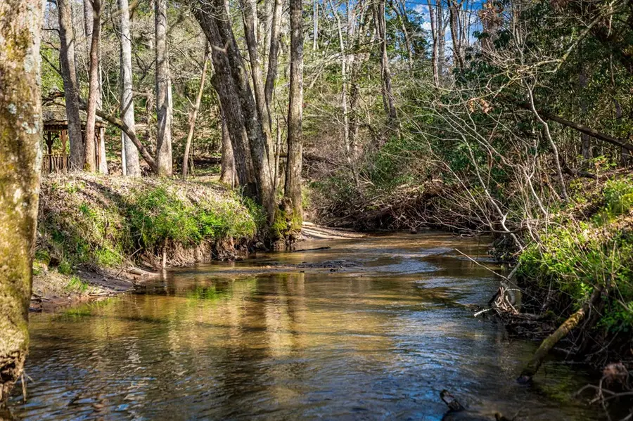 127 Twin Creeks Road, Higdon Mobile, GA 30541 - #3