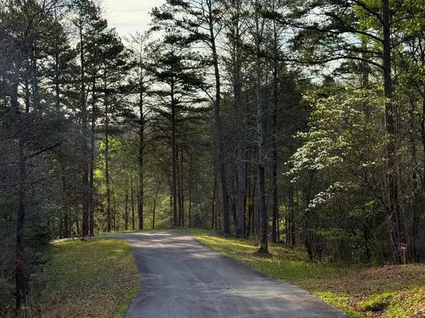 Lot 30 Brasstown Trails, Warne, NC 28909