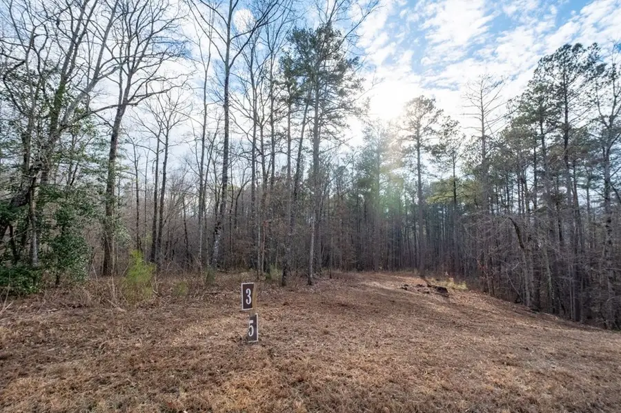 0 Freestone Street, Talking Rock, GA 30175 - #3