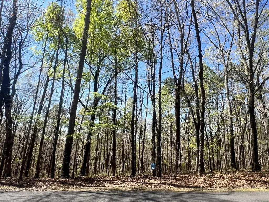 Lot 93 Doll Mountain Road, Ellijay, GA 30540 - #1