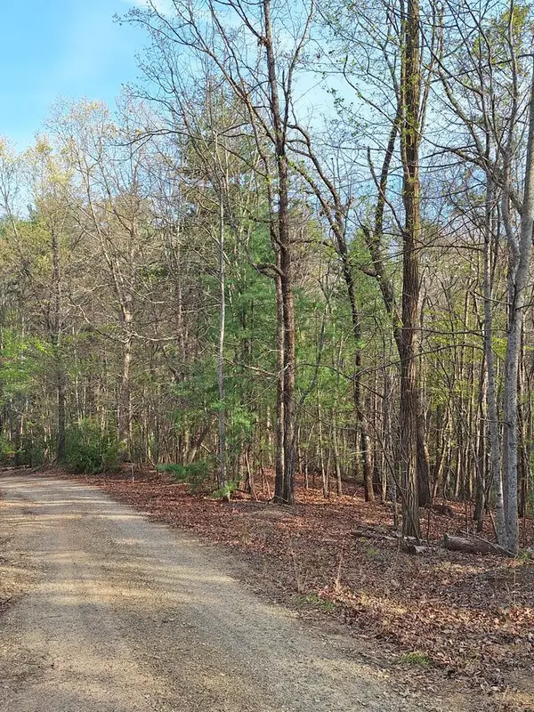 LOT 22 Mull Lane Cir, Lt 22, Morganton, GA 30560