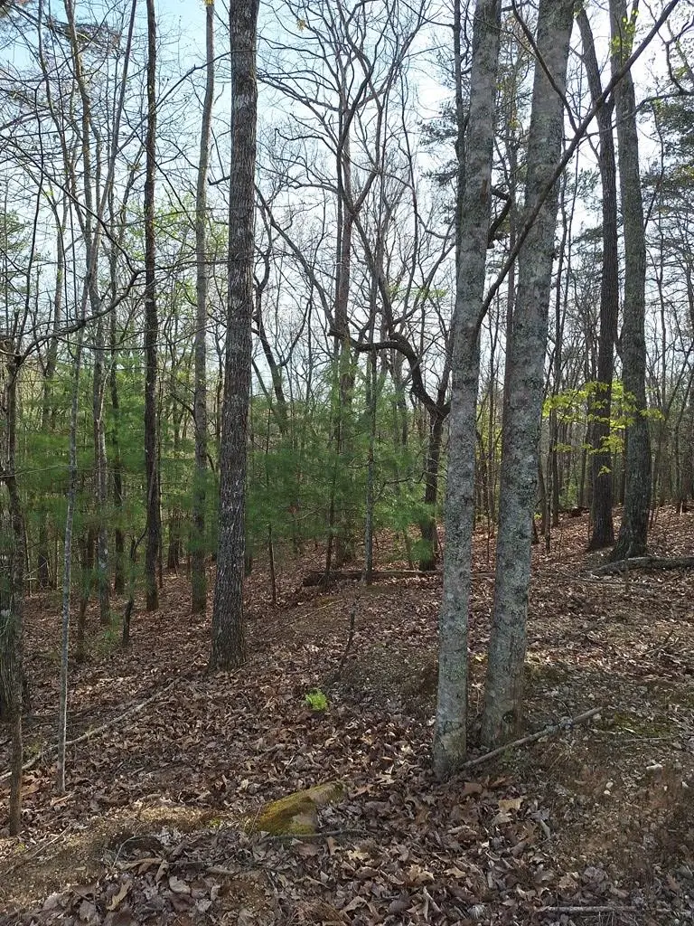 LOT 22 Mull Lane Cir, Lt 22, Morganton, GA 30560 - #2