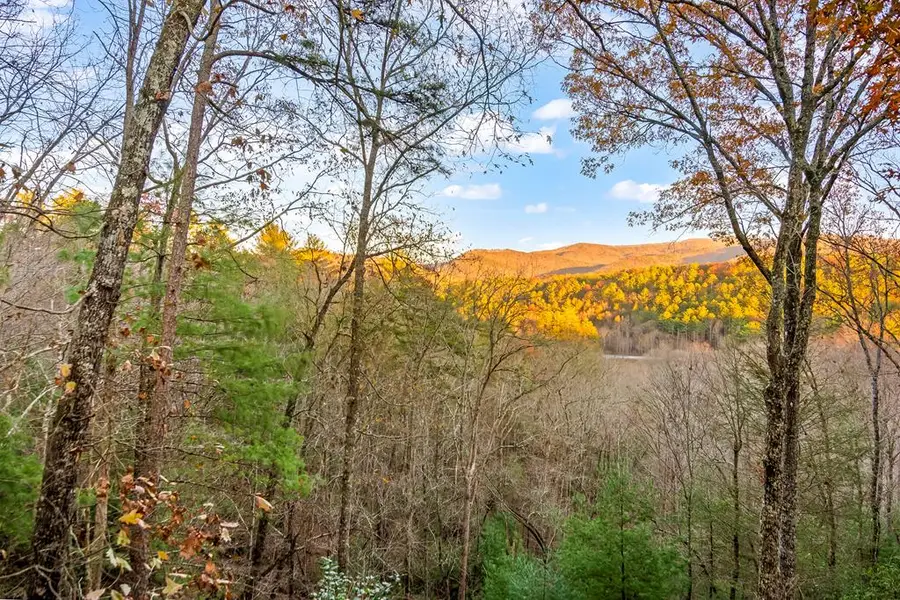 22 N Candice Court, Blue Ridge, GA 30513 - #2