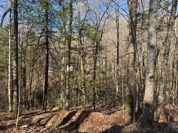 00 Robin Road, Murphy, NC 28906