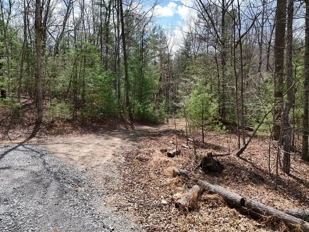Lot 117 Laurel Trace, Blue Ridge, GA 30513 - #1