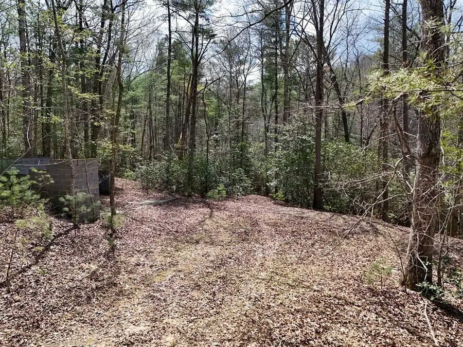 Lot 117 Laurel Trace, Blue Ridge, GA 30513 - #3