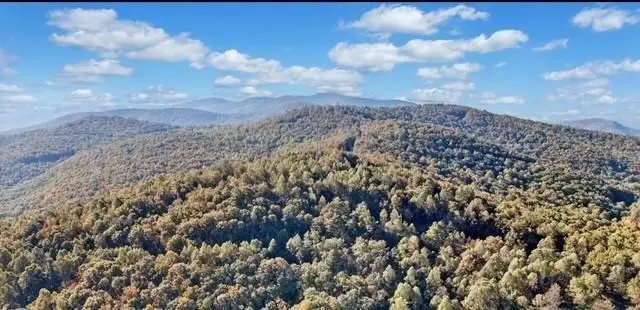 Lot 2 Upper Sassafras Parkway, Jasper, GA 30143 - #3