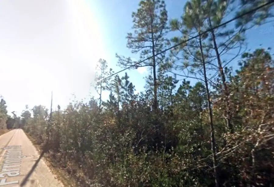 1825 Vincent Way, Talking Rock, GA 30175 - #2