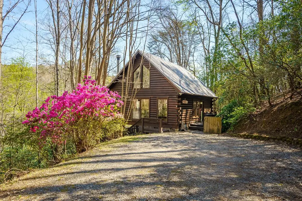 942 Granny Branch Drive, Cherry Log, GA 30522 - #1